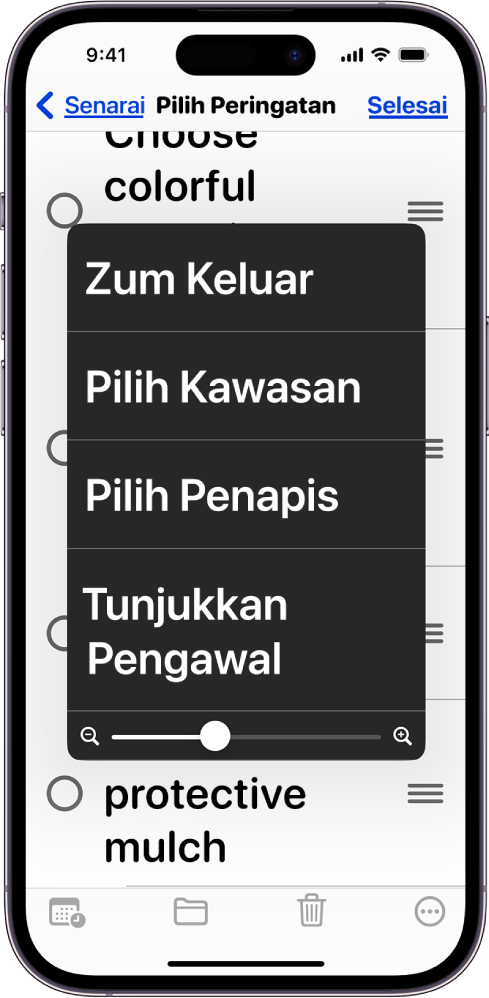 iPhone menunjukkan menu Zum.