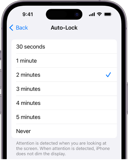 iPhone အလိုအလျောက် လော့ခ်ချခြင်းမပြုမီ အချိန်အတိုင်းအတာအတွက် ချိန်ညှိမှုများပါရှိသော Auto-Lock မျက်နှာပြင်။