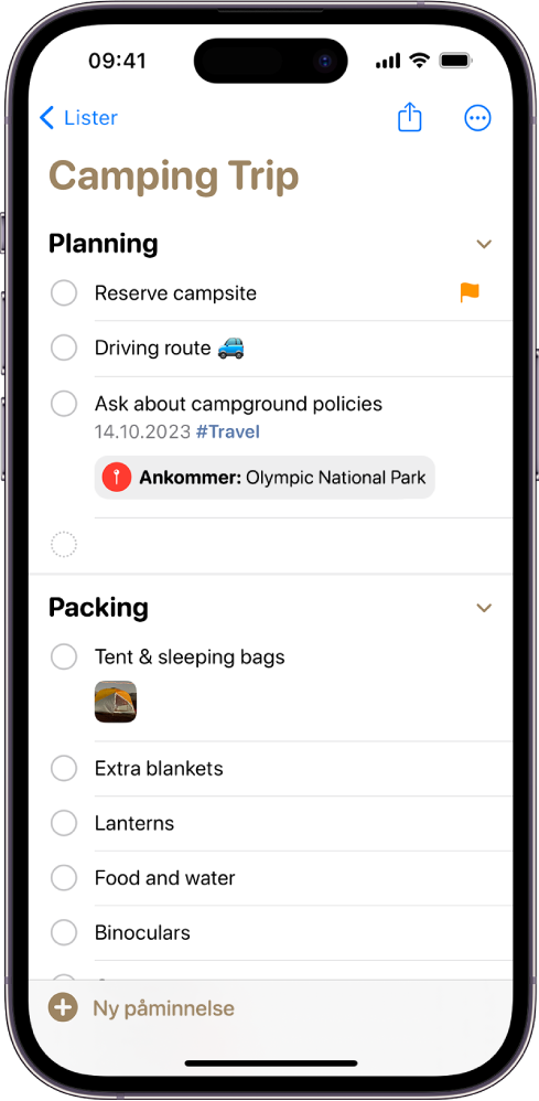 En sjekkliste for en campingtur i Påminnelser. Enkelte artikler har emneknagger, steder, flagg og bilder. Ny påminnelse-knappen er nederst til venstre.