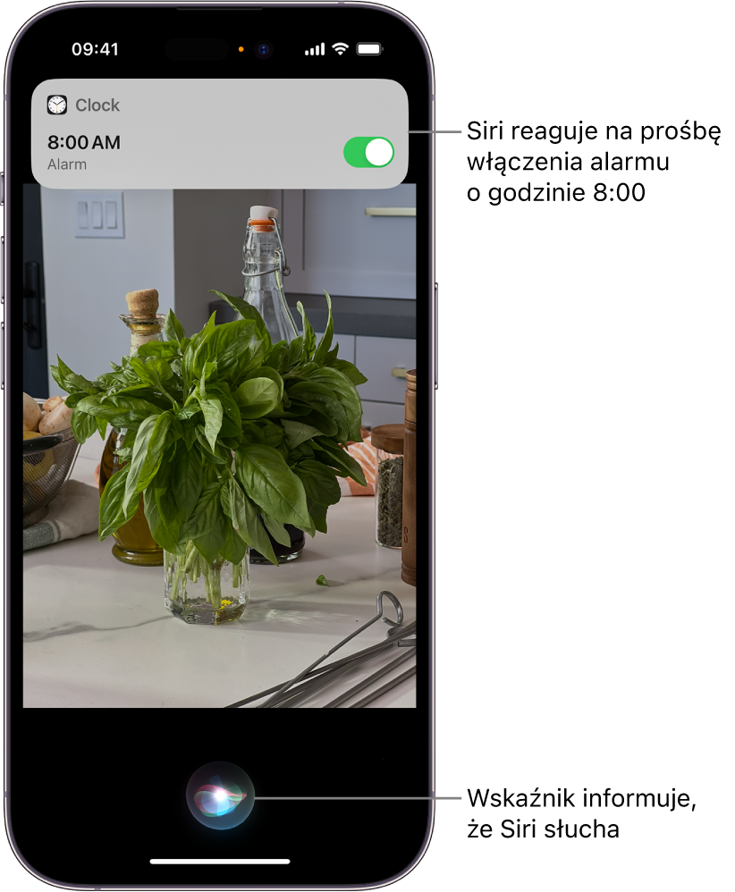 Ekran iPhone’a. U góry ekranu widoczne jest powiadomienie z aplikacji Zegar, że alarm jest włączony na godzinę ósmą rano. Na dole ekranu widoczna jest ikona, która wskazuje, że Siri słucha.