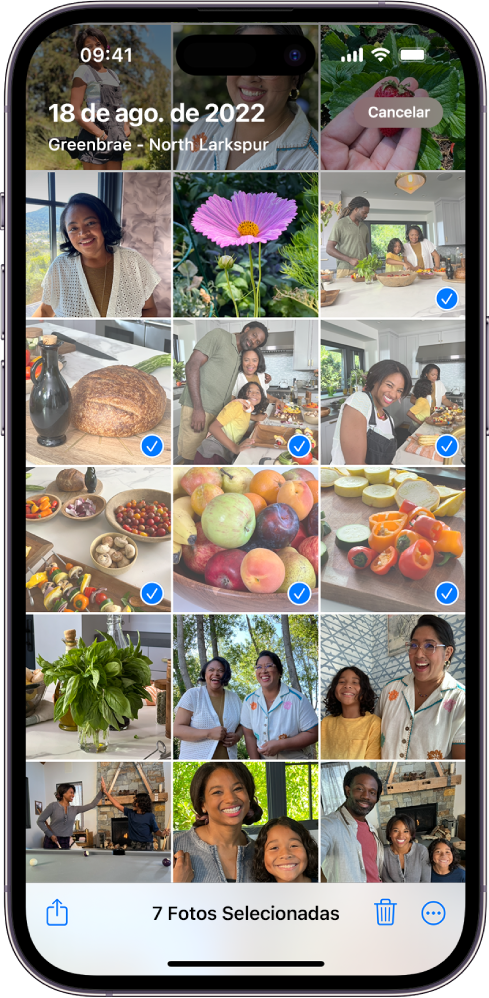 Tela do iPhone preenchida por uma grade de fotos, onde sete delas estão selecionadas. Na parte inferior da tela estão os botões Compartilhar, Apagar e Mais.