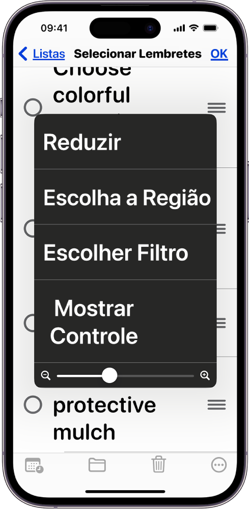 Um iPhone mostrando o menu do Zoom.