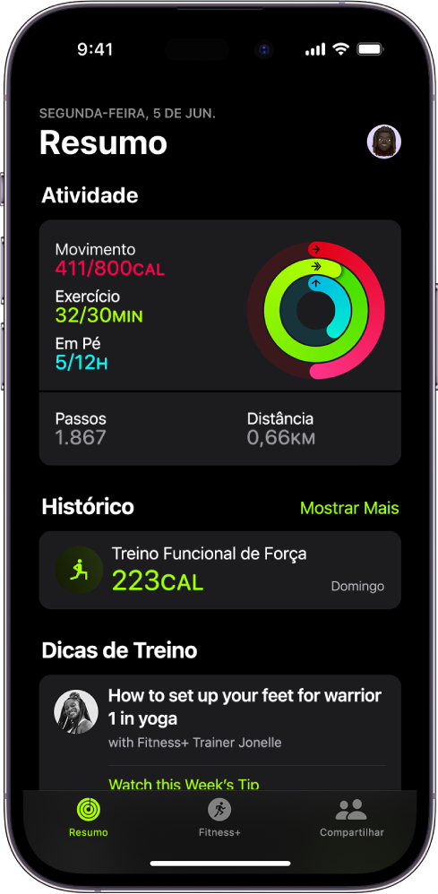 A tela Resumo do app Fitness mostrando as áreas Atividade, Histórico e Dicas de Treino.