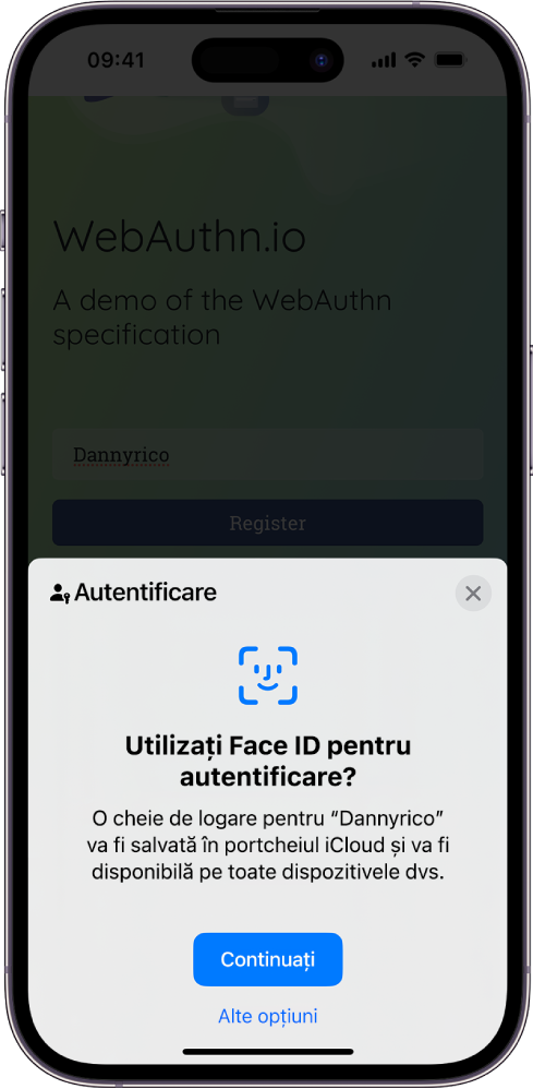 Jumătatea de jos a iPhone‑ului oferă opțiunea de a utiliza chei de logare pentru autentificarea pe un site web. Acesta are un buton Continuați pentru salvarea unei chei de logare și un buton Alte opțiuni.