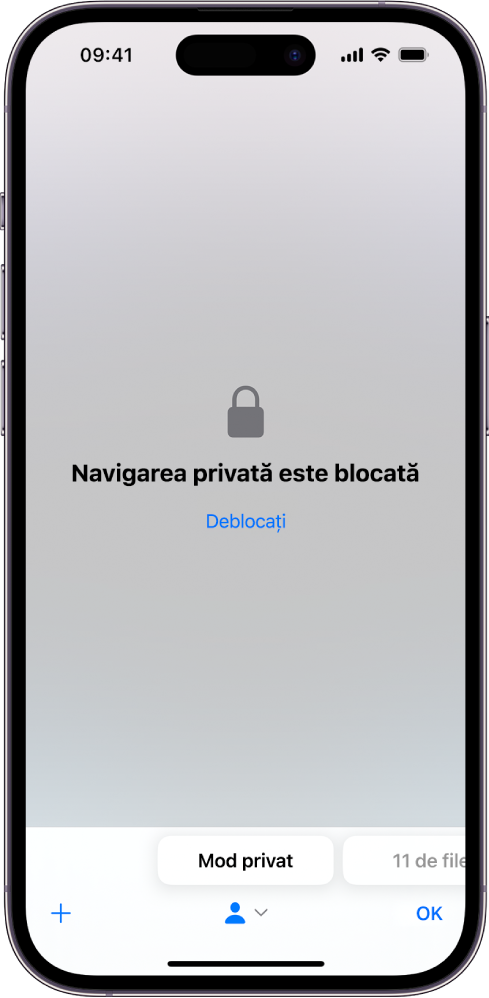 Safari este deschis la Navigare privată. În centru ecranului sunt cuvintele Navigarea privată este blocată. Dedesubt se află butonul Deblocați.