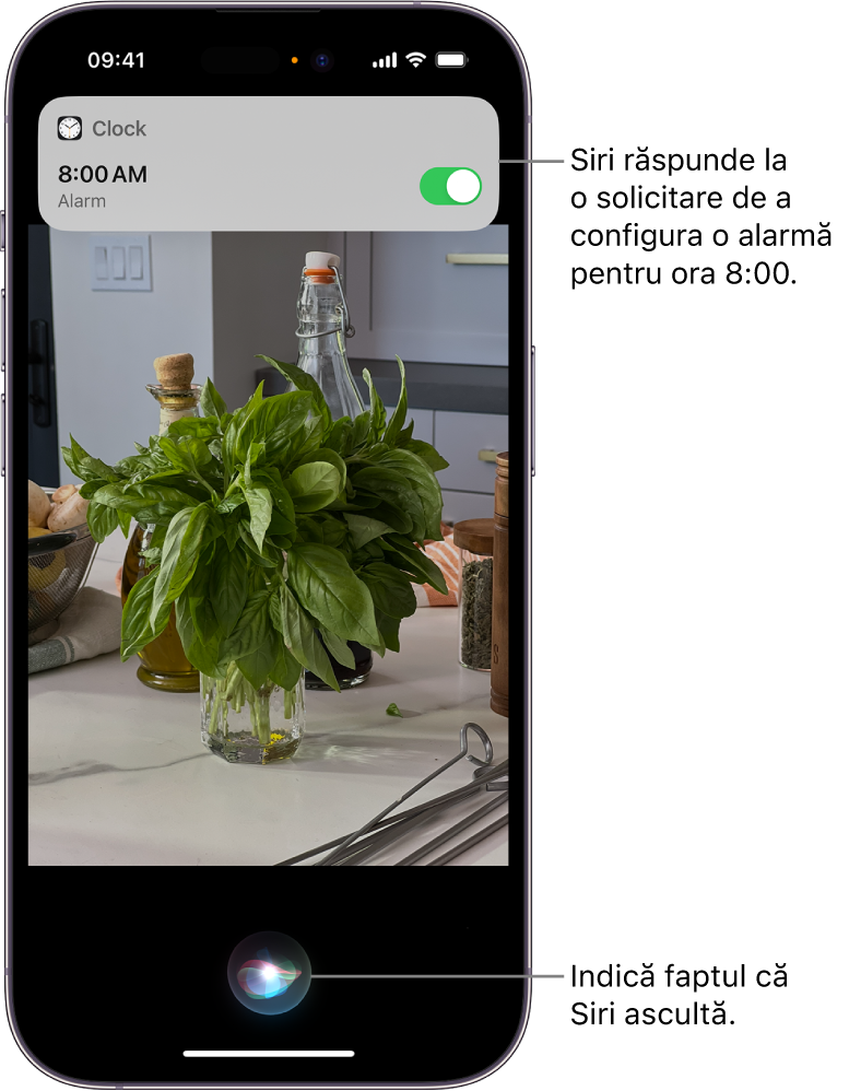 Un ecran de iPhone. În partea de sus a ecranului, o notificare de la aplicația Ceas arată că o alarmă este activată pentru ora 8:00. O pictogramă din partea de jos a ecranului indică faptul că Siri ascultă.