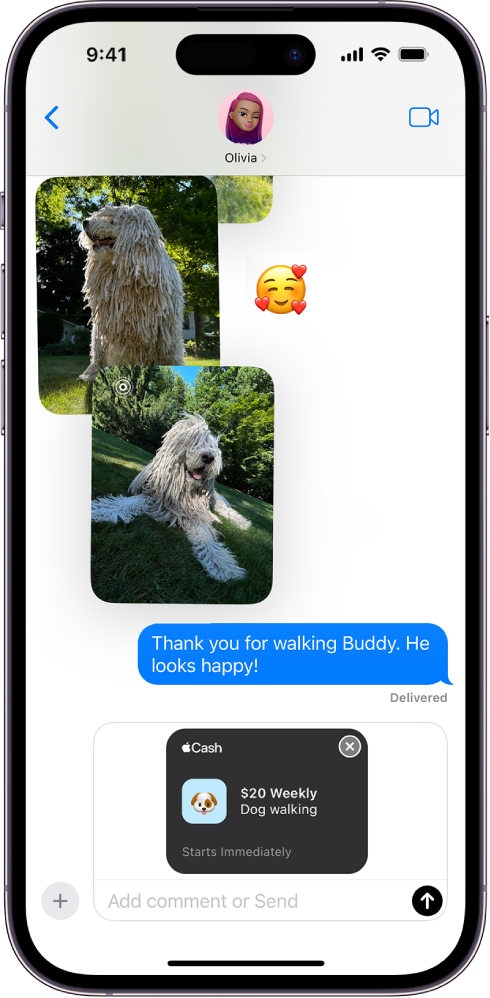 Pogovor v aplikaciji Messages, ki prikazuje podrobnosti o ponavljajočem se plačilu v oblačku sporočila. Gumb Send je spodaj desno.