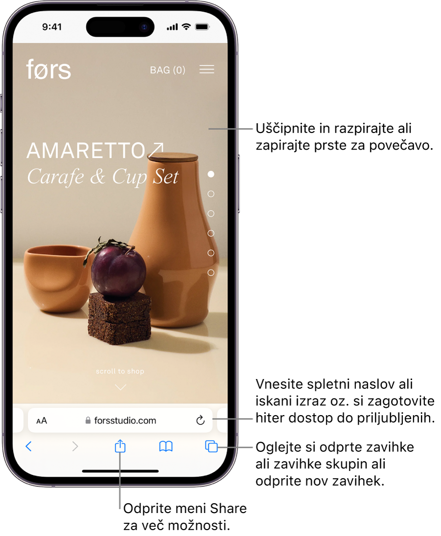 Spletno mesto, odprto v aplikaciji Safari, s poljem za naslov na dnu. Na dnu so od leve proti desni gumbi Back, Forward, Share Bookmarks in Tabs.