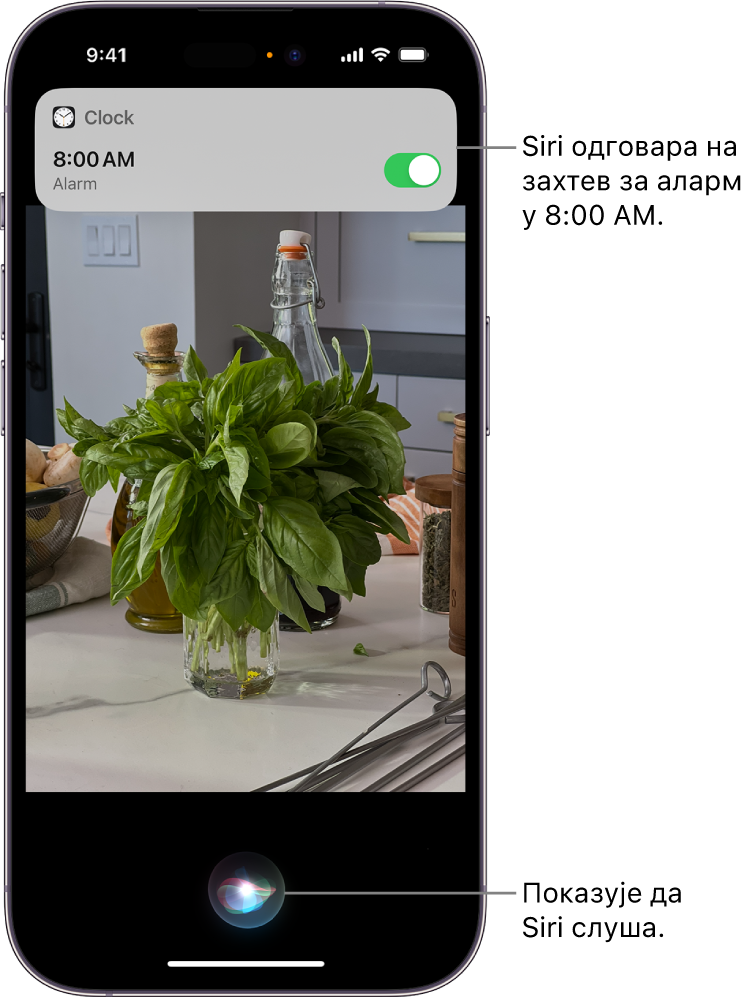 iPhone екран. При врху екрана, обавештење апликације Clock показује да је укључен аларм за 8:00 ујутру. Икона на дну екрана означава да Siri слуша.