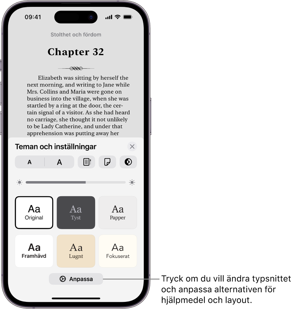 En sida i en bok i appen Böcker. Alternativen Teman och Inställningar visar reglage för typsnittsstorlek, rullningsvy, sidvändningsstil, ljusstyrka och typsnittsstilar.