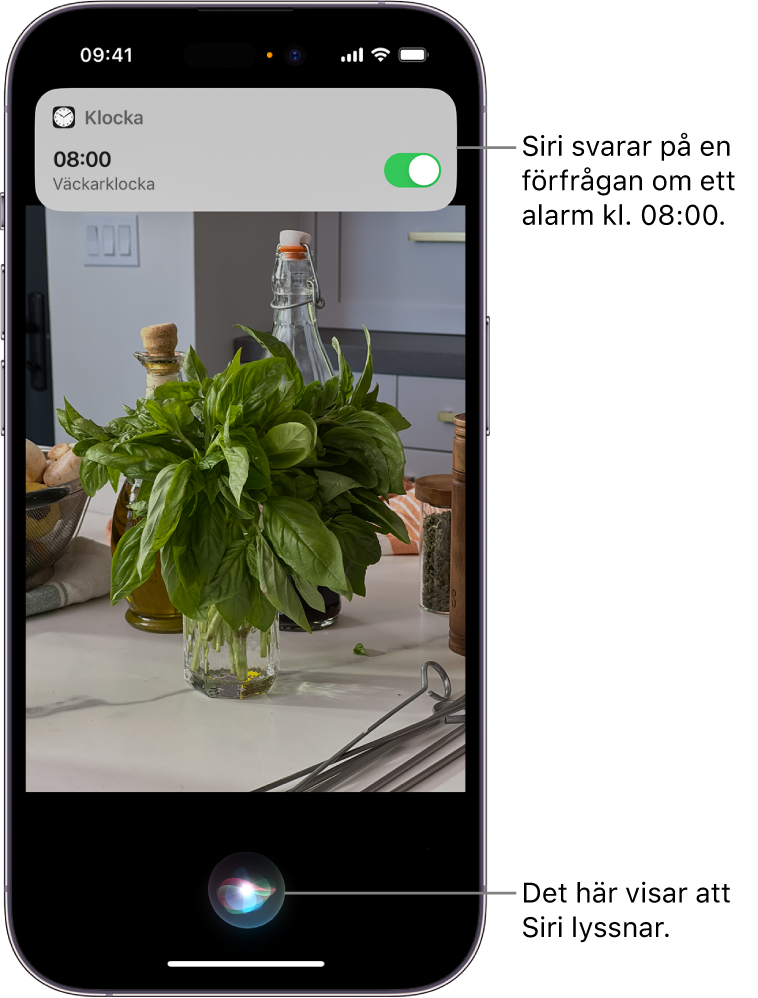 En iPhone-skärm. En notis från appen Klocka som visar att ett alarm är aktiverat för kl. 08:00 syns nära överkanten på skärmen. Längst ned på skärmen finns en symbol som visar att Siri lyssnar.