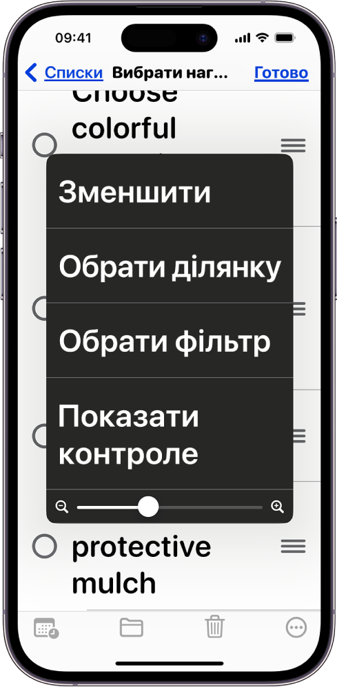 iPhone з меню «Зум»