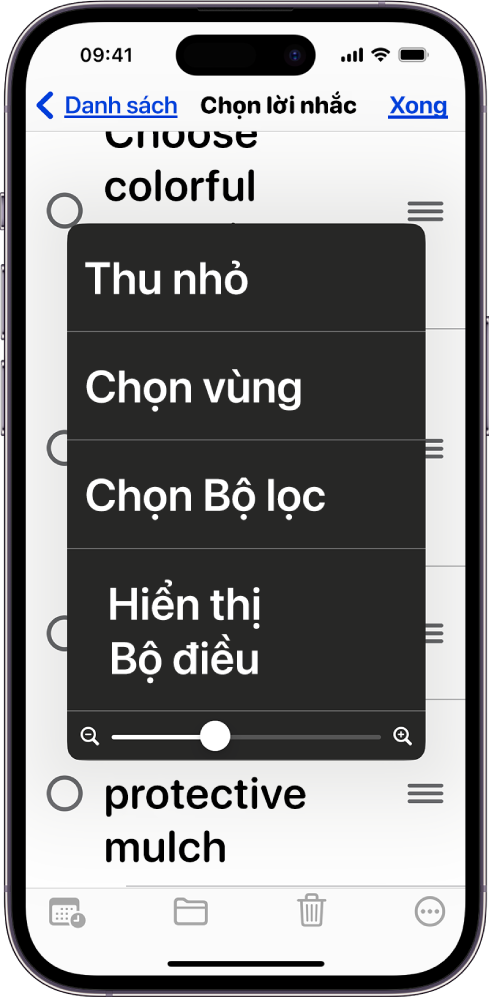 Một iPhone đang hiển thị menu Thu phóng.