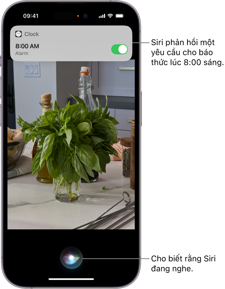 Một màn hình iPhone. Ở gần đầu màn hình, một thông báo từ ứng dụng Đồng hồ cho thấy rằng một báo thức được bật cho 8:00 sáng. Một biểu tượng ở cuối màn hình cho biết rằng Siri đang lắng nghe.