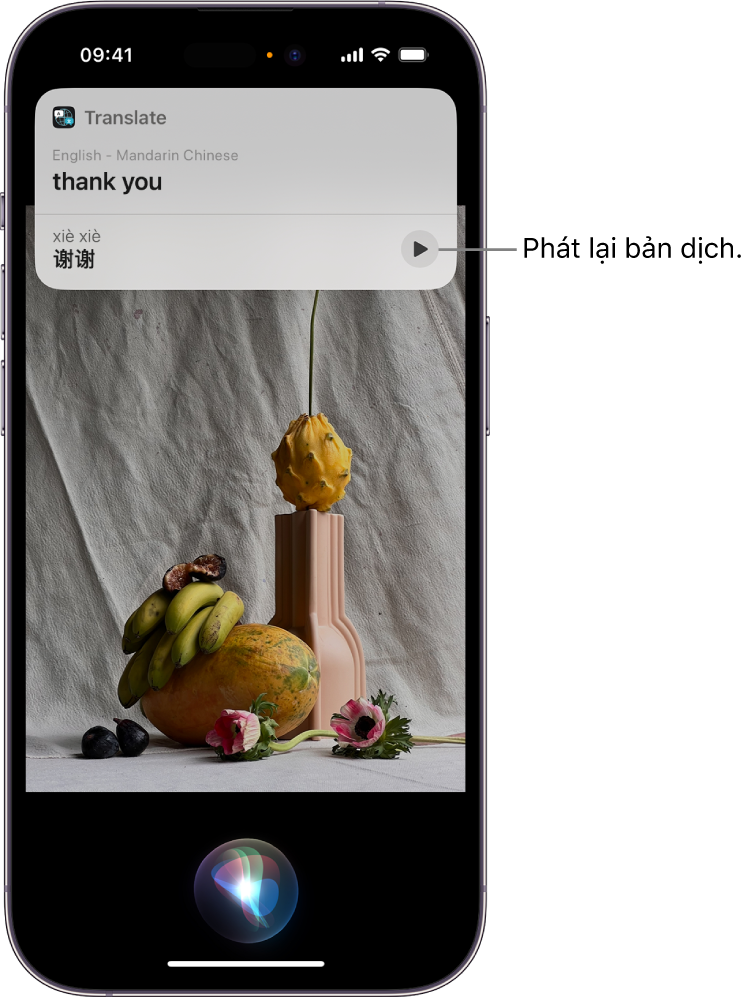 Một màn hình iPhone với chỉ báo Siri đang nghe ở dưới cùng và phản hồi từ Siri dưới dạng một bản dịch [từ Tiếng Anh sang Tiếng Hoa phổ thông] ở trên cùng.