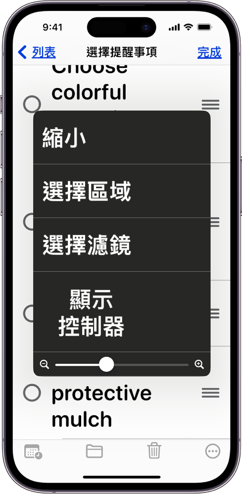 iPhone 顯示「縮放」選單。