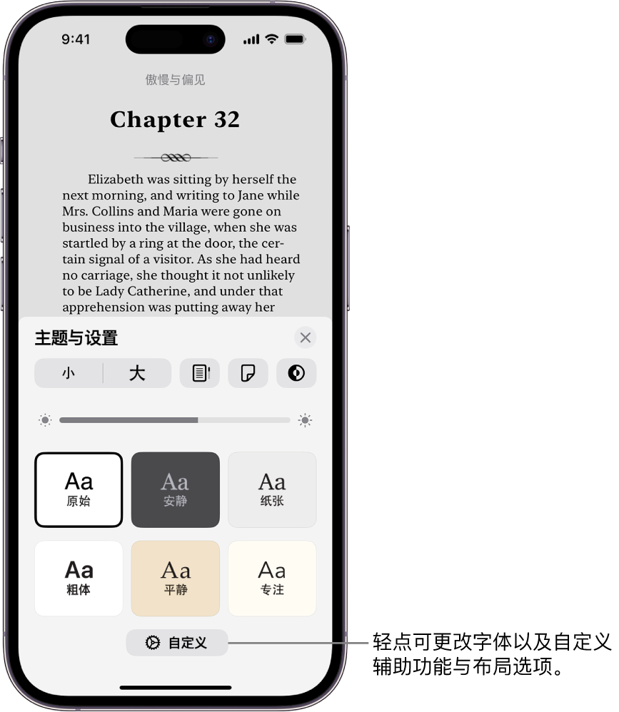 “图书” App 中的图书页面。“主题与设置”选项显示字体大小、滚动视图、翻页样式、亮度和字体样式的控制。