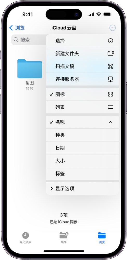 “文件” App 已选中“更多”按钮。显示的菜单中是用于“选择”、“新建文件夹”、“扫描文稿”和“连接服务器”的选项。其下方是用于将屏幕上的项目显示为“图标”或“列表”的选项。底部是排序选项，包括“名称”、“类别”、“日期”、“大小”和“标签”，接着是“显示选项”。