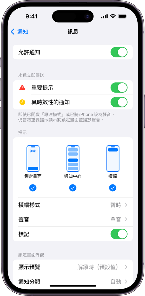 iPhone 顯示「訊息」的通知和提示設定。