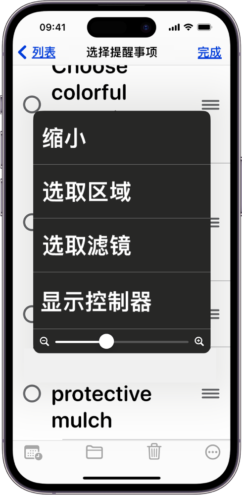iPhone 显示“缩放”菜单。
