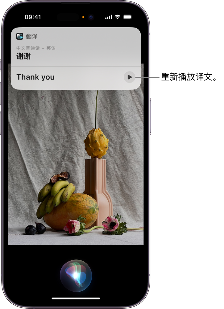 iPhone 屏幕，底部是 Siri 听取指示器，顶部是以翻译形式显示的 Siri 回应（从英文翻译成普通话）。