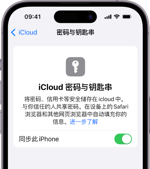 iCloud “密码与钥匙串”屏幕，显示用于同步此 iPhone 的设置。