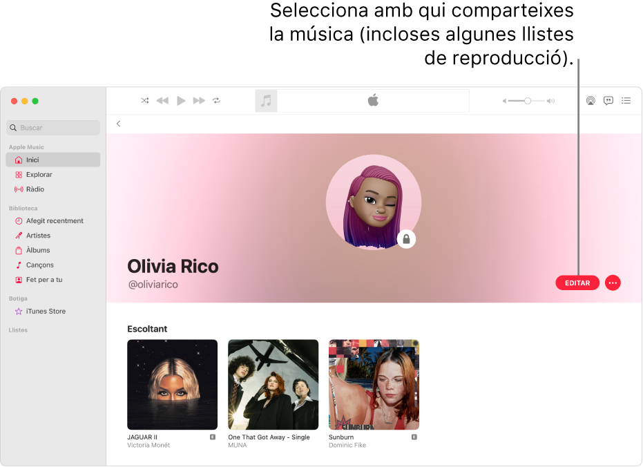 La pàgina de perfil de l’Apple Music: a la dreta de la finestra, fes clic a “Editar” per seleccionar qui et pot seguir. A la dreta d’”Editar”, fes clic al botó “Més” per compartir la teva música.