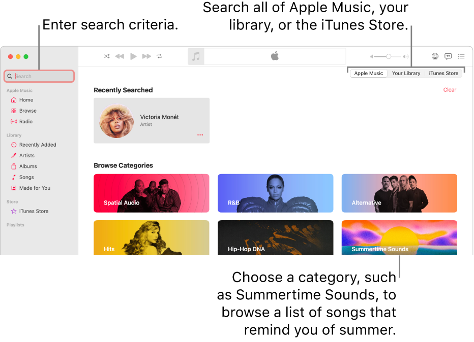 The Apple Music window showing the search field in the top-left corner, the list of categories in the center of the window, and Apple Music, Your Library, and iTunes Store available in the top-right corner. Enter search criteria in the search field, then choose to search all of Apple Music, just your library, or the iTunes Store.