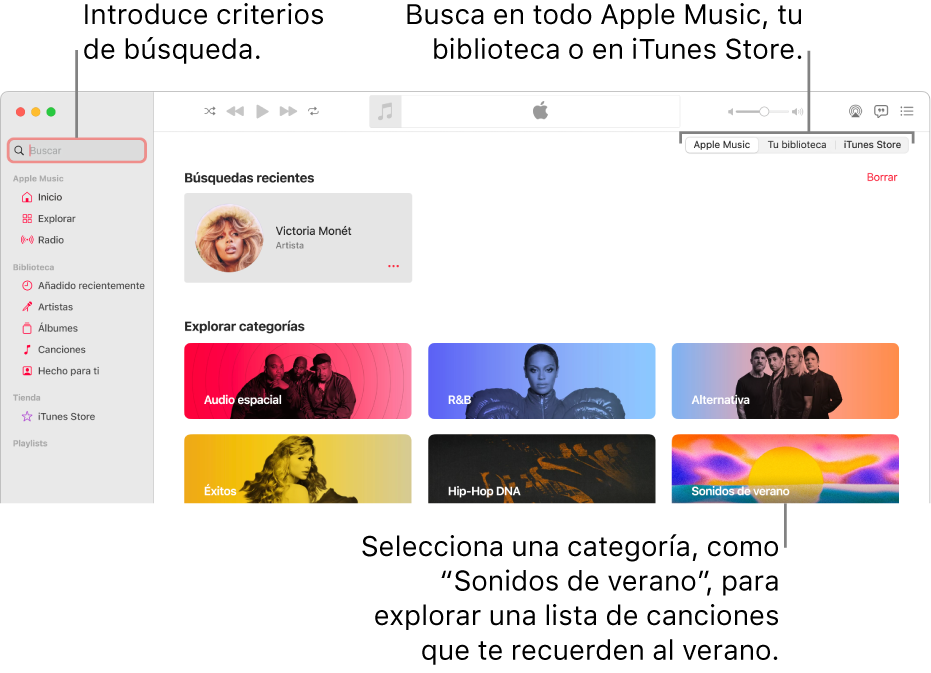 La ventana de Apple Music que muestra el campo de búsqueda en la esquina superior izquierda, la lista de categorías en el centro de la ventana y Apple Music, “Tu biblioteca” y iTunes Store en la esquina superior derecha. Introduce los criterios de búsqueda en el cuadro de búsqueda y, a continuación, selecciona para buscar en todo Apple Music, solamente en la biblioteca o en iTunes Store.