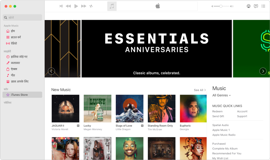 iTunes Store मुख्य विंडो : साइडबार में iTunes Store चिह्नांकित होता है।