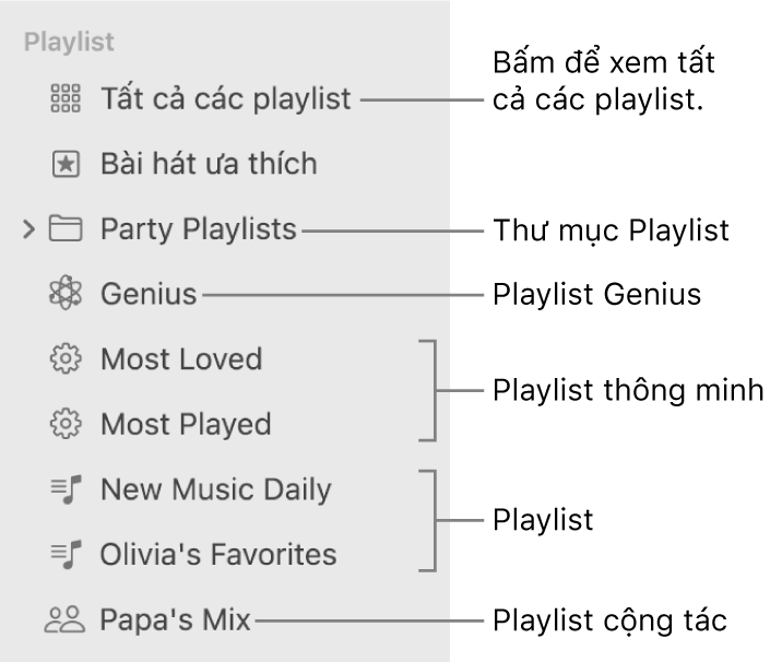 Thanh bên Nhạc đang hiển thị các loại playlist khác nhau: Bài hát ưa thích, Genius, Thông minh và các playlist. Bấm vào Tất cả playlist để xem tất cả chúng.