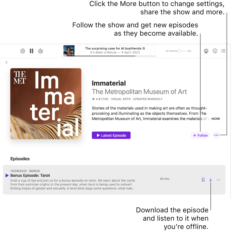 An information page for a podcast, showing the Follow, More and Download buttons.
