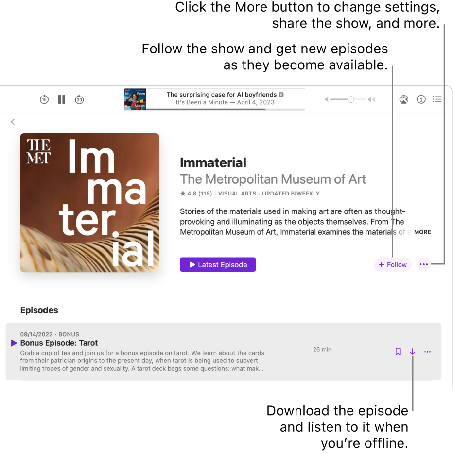 An information page for a podcast, showing the Follow, More, and Download buttons.