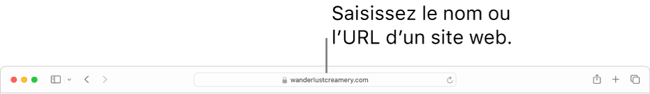 Le champ de recherche intelligente de Safari, dans lequel vous pouvez saisir le nom ou l’URL d’un site web.