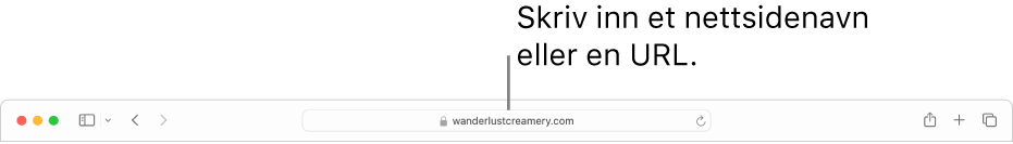 Det smarte søkefeltet plassert i midten av Safari-verktøylinjen.