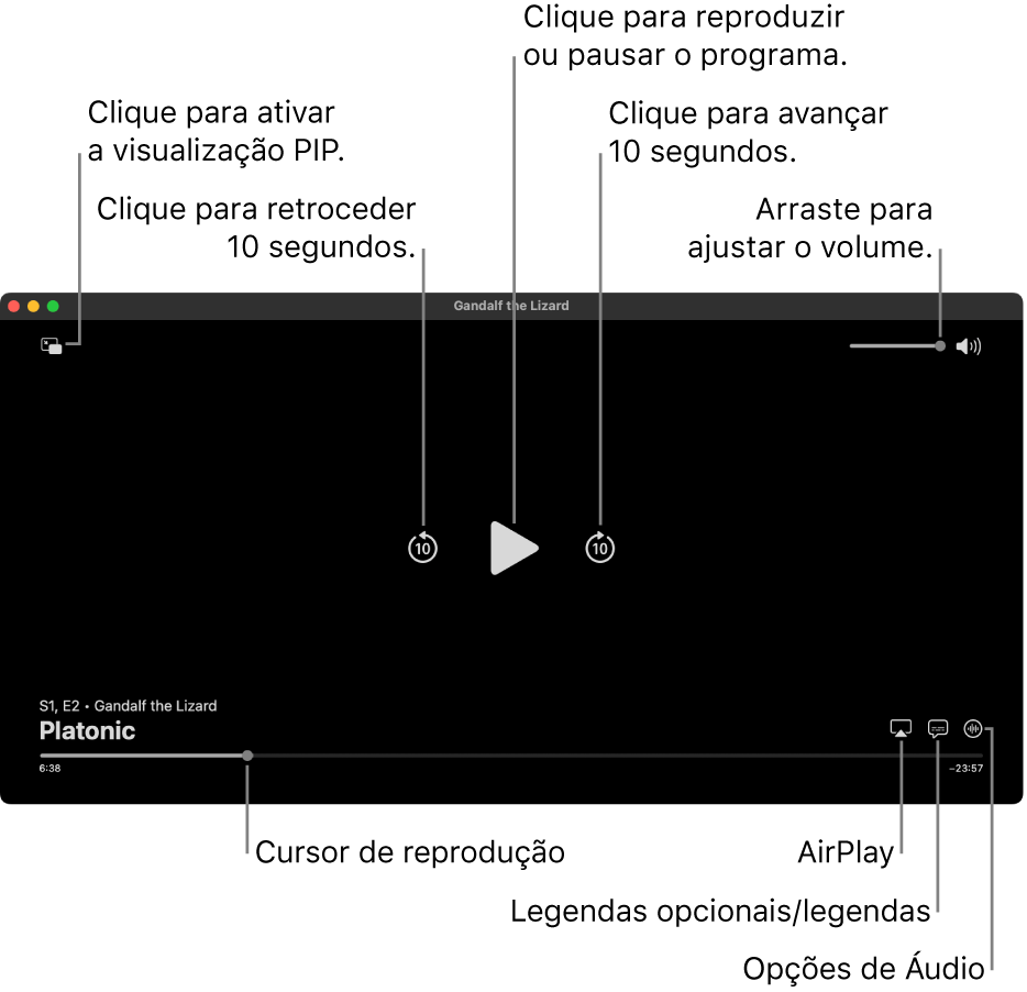 Controles de reprodução no visualizador, incluindo botões para reproduzir ou pausar, avançar ou retroceder e ajustar o volume