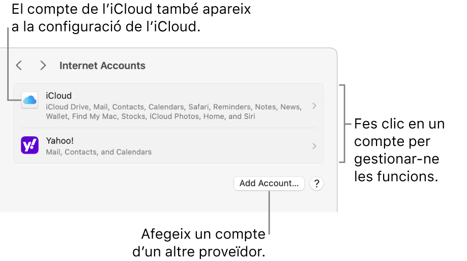 La configuració dels comptes d’internet amb una llista dels comptes configurats al Mac.