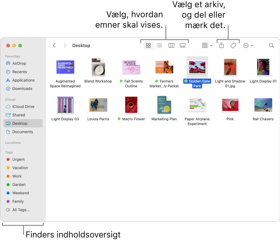 Et Findervindue med indholdsoversigten i Finder til venstre. Øverst i vinduet er der fire knapper, der ændrer den måde, emner vises på i vinduet, og ekstra knapper til at organisere og dele emner.