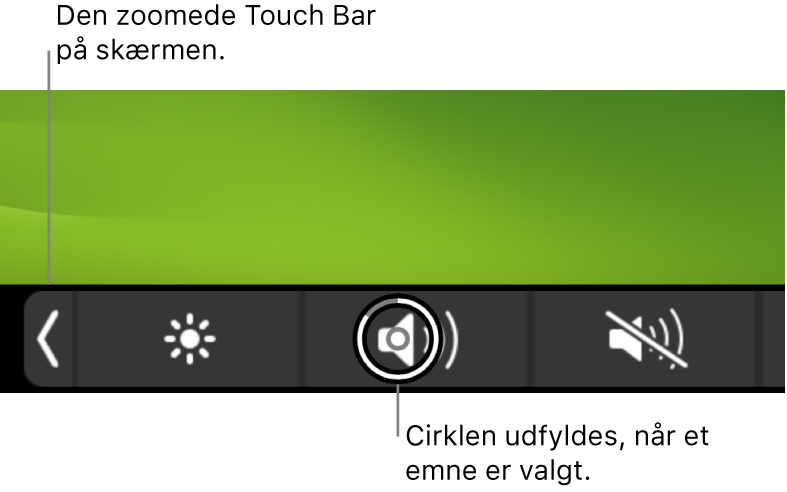 Den zoomede Touch Bar langs bunden af skærmen. cirklen over en knap udfyldes, når knappen vælges.