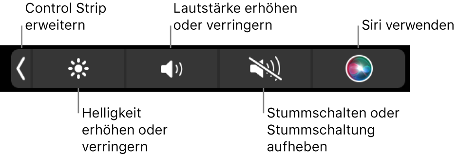 Der reduzierte Control Strip mit Tasten (von links nach rechts) zum Erweitern des Control Strip, Erhöhen oder Reduzieren von Bildschirmhelligkeit und Lautstärke, Aktivieren oder Deaktivieren der Stummschaltung und Verwenden von Siri.