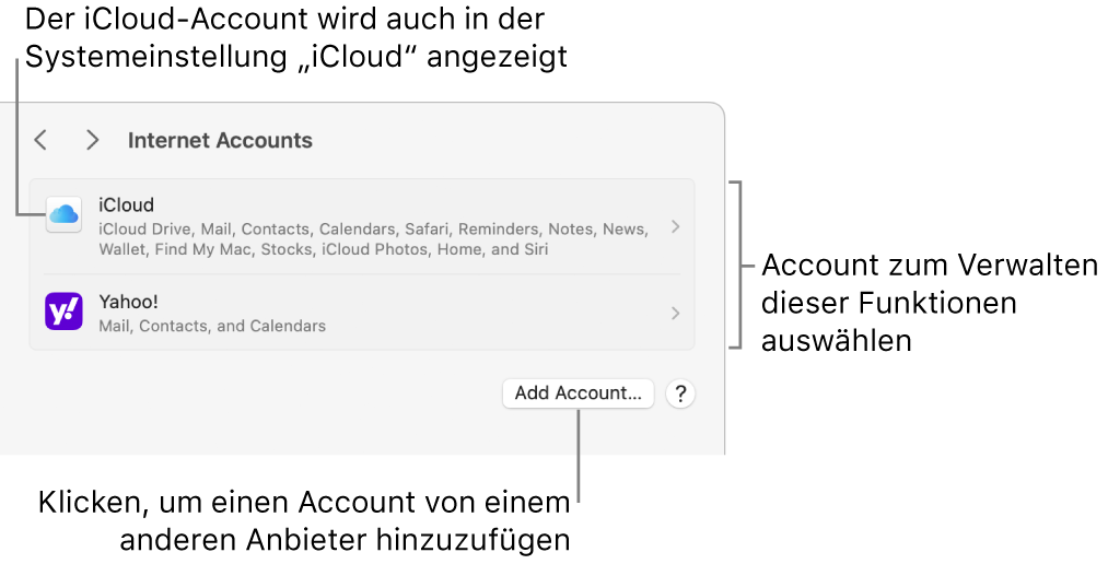 Systemeinstellung „Internetaccounts“ mit einer Liste der Accounts, die auf dem Mac eingerichtet sind.
