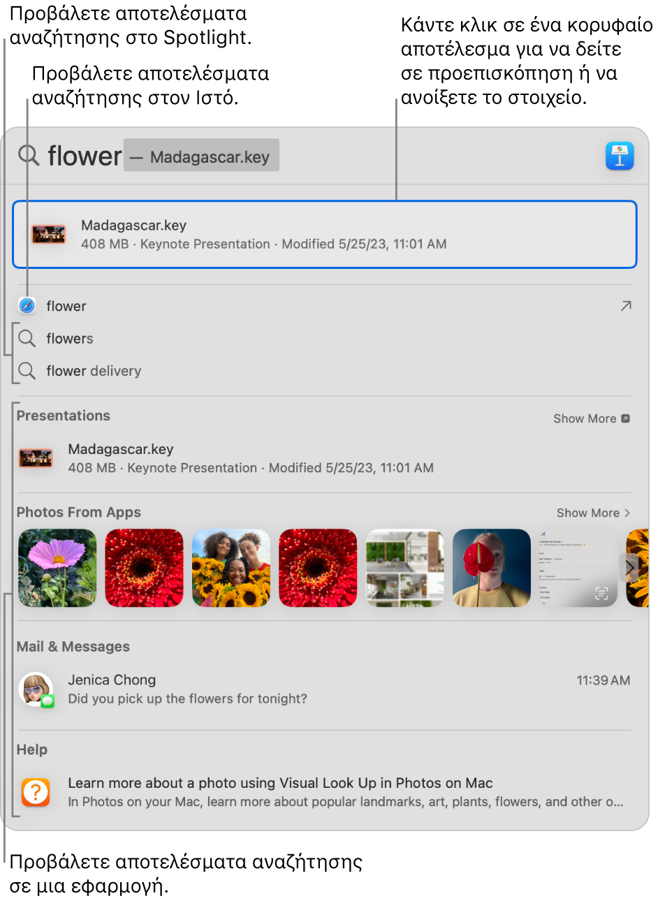 Το παράθυρο του Spotlight όπου εμφανίζεται κείμενο αναζήτησης στο πεδίο αναζήτησης στο πάνω μέρος του παραθύρου και αποτελέσματα από κάτω.