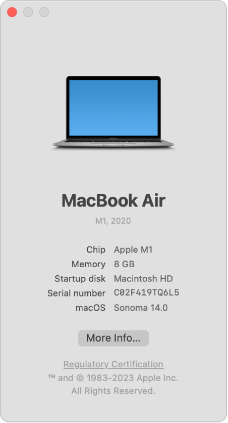 About this Mac window showing the Mac model, hardware chip, amount of memory, startup disk, serial number and macOS version.