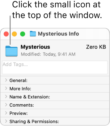 The Info window for the other folder, showing the generic icon selected.