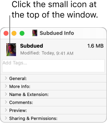 The Info window for a folder, showing a picture on the icon.