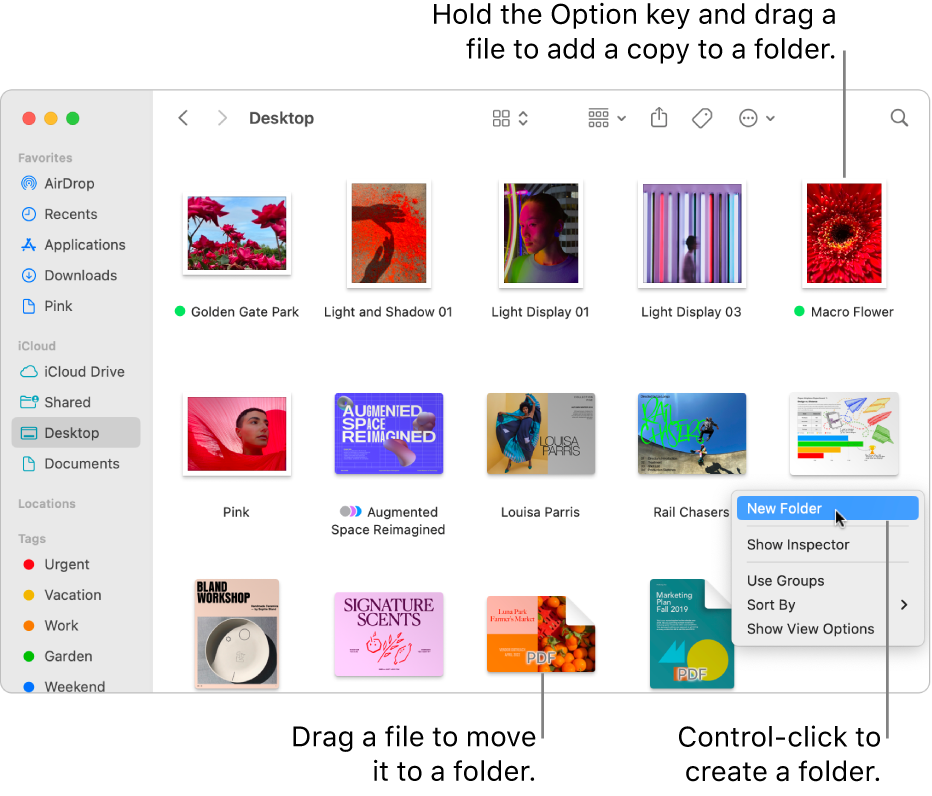 Organize files in folders on Mac - Apple Support (CA)