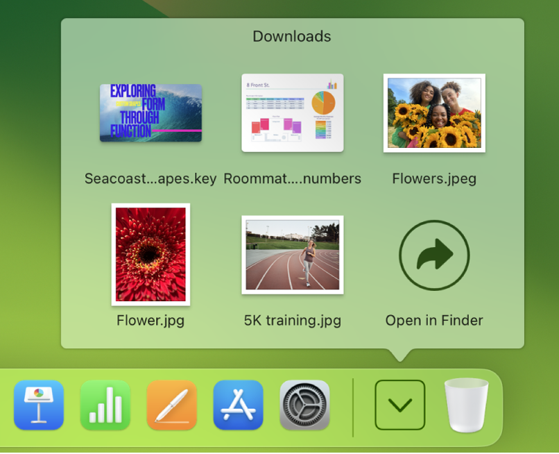 The Downloads folder open with its items viewed as a grid.