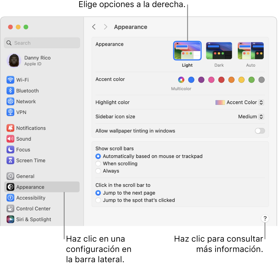 La ventana de Configuración del Sistema, con la configuración de Aspecto seleccionado en la barra lateral y las opciones de Aspecto a la derecha.