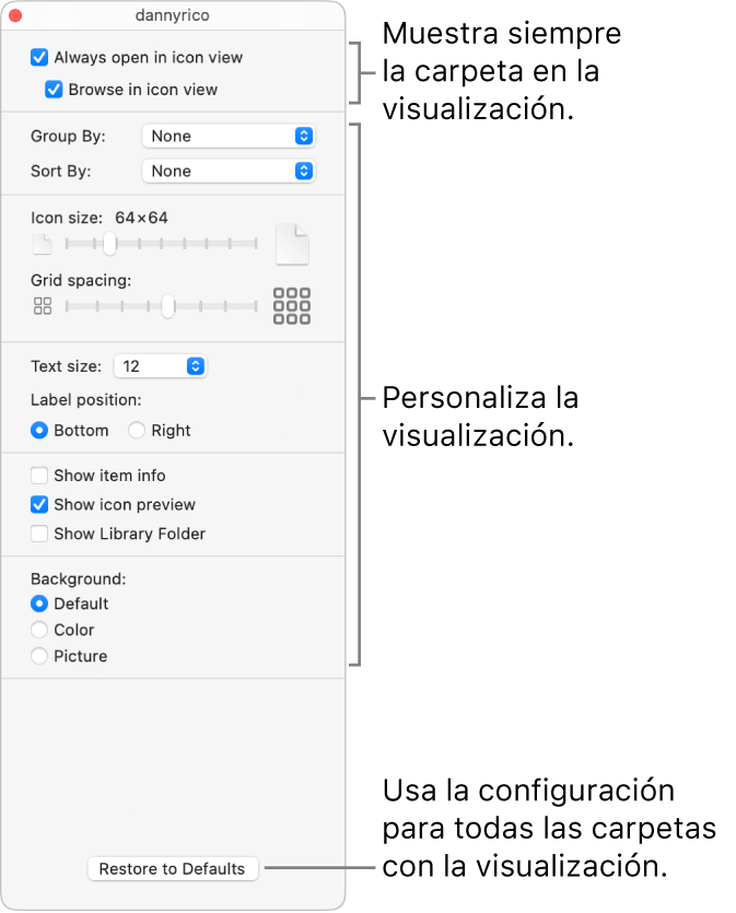 Opciones de visualización de íconos para una carpeta.