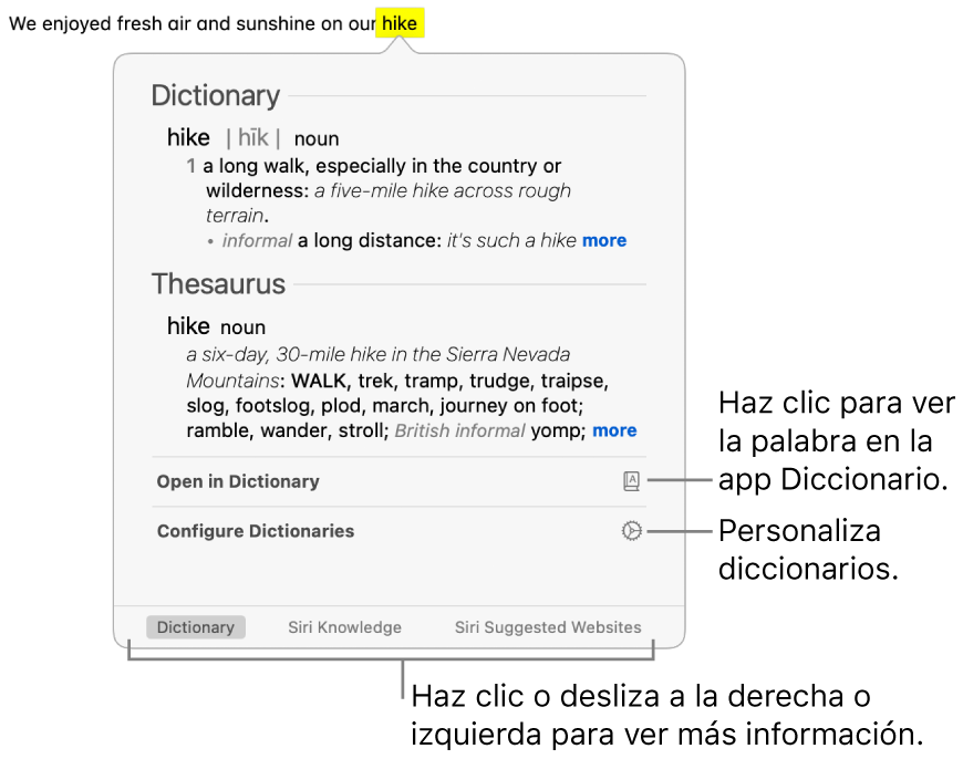 La ventana Consultar mostrando las definiciones de diccionario y tesauros para una palabra.